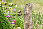 Garden decoration - Rickel stake