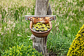 Garden decoration - Rickel stake with drinking trough