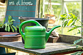 Planting table with watering can