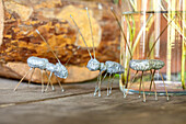 Dekoration - Ameisen aus Metall