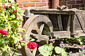 Gartendekoration alte Schubkarre