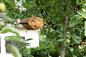 DIY Insect House
