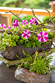 Patio decoration - Table arrangement