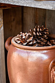 Pine cones in a jug