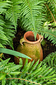Garden decoration - pitcher in fern tree