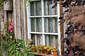 Gartendekoration - Fensterrahmen
