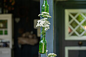 Garden decoration - glass vase
