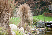 Winter preparation - bound grasses