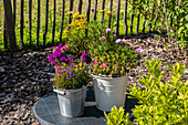 Garden impression - Planted buckets