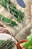 Herbs in a bundle