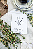 bunch of thyme with seeds