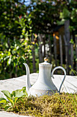 Coffee pot as garden decoration