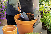 Herb tower - Filling soil into pot