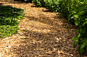 Bark mulch path