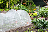 Vegetable bed with plant tunnel