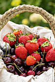 Basket with strawberries and cherries