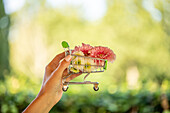Shopping icon - shopping cart flowers