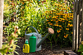 Fertilizer - liquid fertilizer and watering can