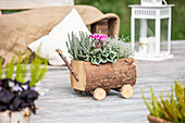 Wooden planter in ambience
