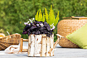 Wooden planter in ambience ambience