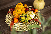 Autumn ambience - Pumpkins