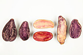 Solanum tuberosum 