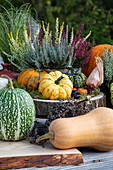 Herbstliche Dekoration mit Kürbissen und Heide