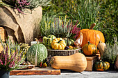 Autumn decoration with pumpkins and heather