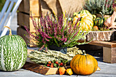 Heather autumn decoration