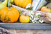 Autumn decoration - Pumpkin and apple on a tray