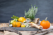 Autumn decoration - pumpkins and heather