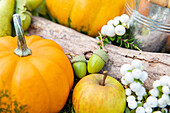 Autumn decoration - acorns