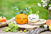 Autumn decoration - Painted pumpkins