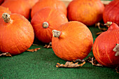 Hokkaido pumpkins