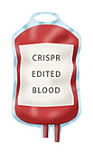 Blood bag of CRISPR edited blood, illustration