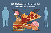 GLP-1 for weight loss, illustration