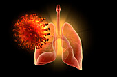 Corona virus and human lungs, illustration