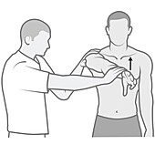 Shoulder examination, illustration