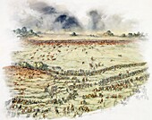 Battle of Hastings, illustration
