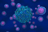 Cell infected with HIV, illustration