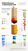 Biomass of mammalian life on Earth, illustration