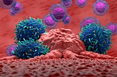 T cells attacking cancer cell, illustration
