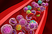 High and low density lipoproteins, illustration