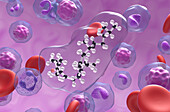 Vitamin D3 molecule, illustration