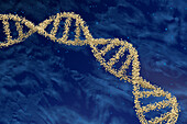 DNA molecule, illustration