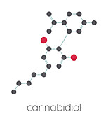 CBD cannabis molecule, illustration