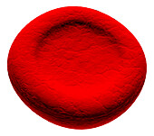 Microcyte abnormal red blood cell, illustration