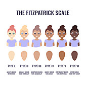 Fitzpatrick skin type classification, illustration