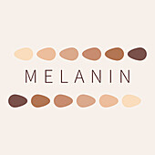 Melanin, conceptual illustration
