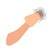 Hair loss, conceptual illustration